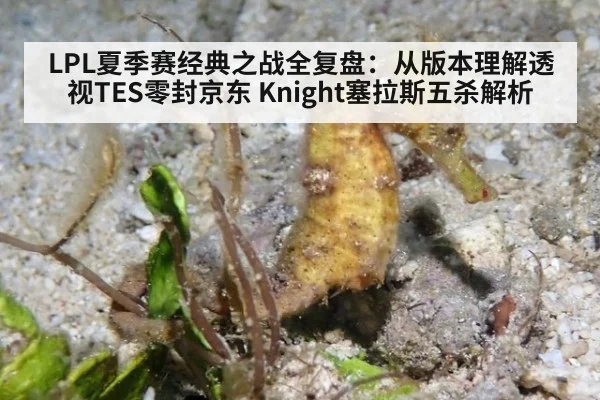 LPL夏季赛经典之战全复盘:从版本理解透视TES零封京东 Knight塞拉斯五杀解析