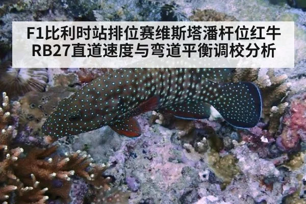 F1比利时站排位赛维斯塔潘杆位红牛RB27直道速度与弯道平衡调校分析