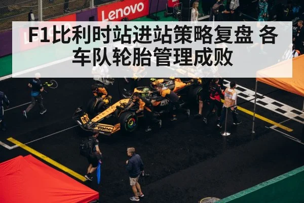 F1比利时站进站策略复盘 各车队轮胎管理成败